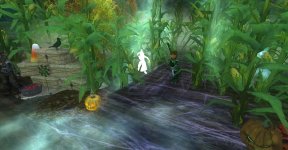 EQ2_000069.jpg EQ2_000069.jpg